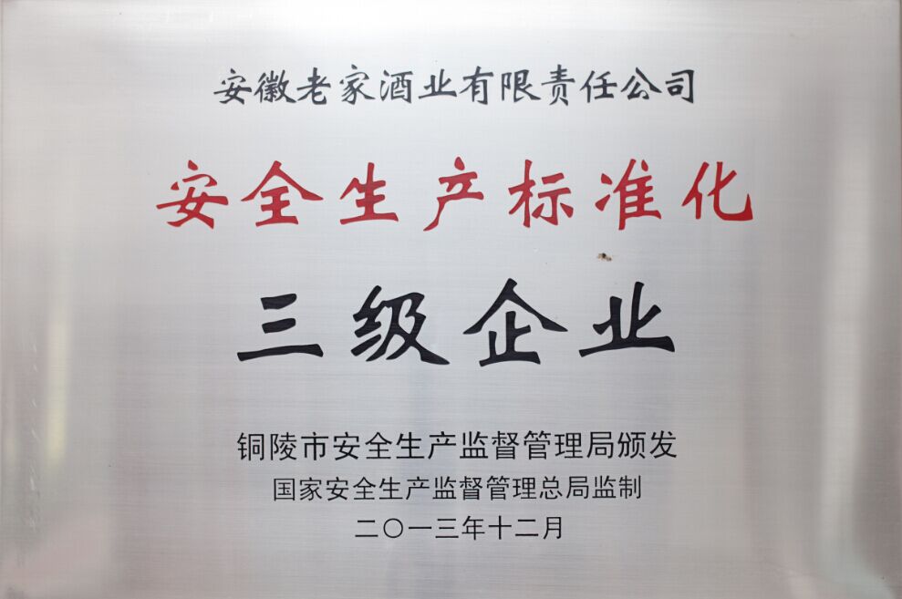 4新安全生产标准化三级企业.jpg