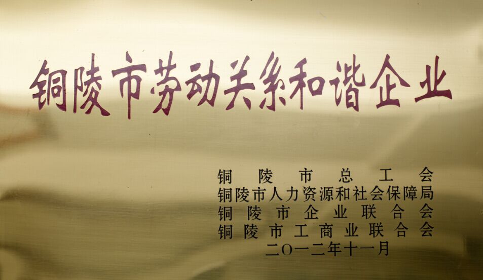 12新八宝春铜陵市劳动关系和谐企业.jpg