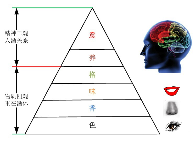 白酒有“六观”，你真的懂它吗？